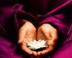 Reiki Level II