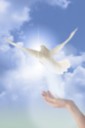 Reiki Master Level